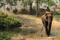 Chitwan National Park